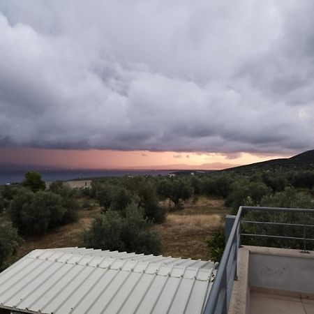 Panoramic View Summerhouse Loukissia Exteriér fotografie